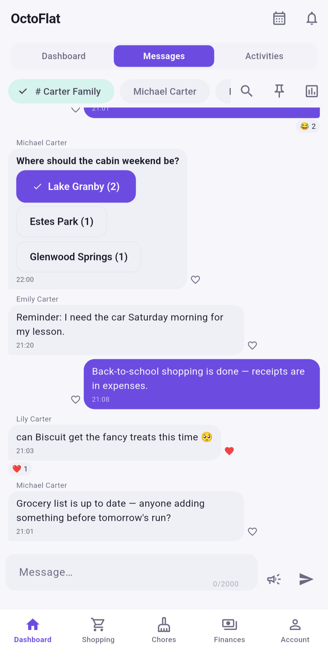 The household chat, with a pinned message and a poll
